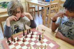 IMG-20200803-WA0004