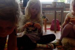 IMG_20150910_113412