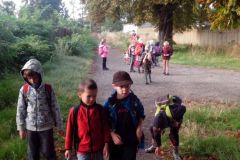 2015-09-11 Páteční putování do pohádky Žabí král