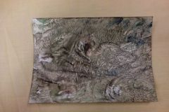 IMG_20151119_101514