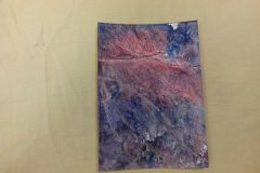 IMG_20151119_101735