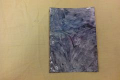 IMG_20151119_101740