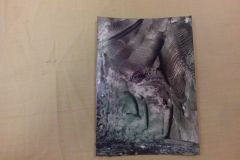 IMG_20151119_101752
