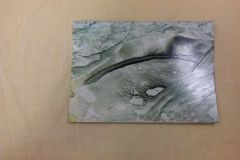 IMG_20151119_101810