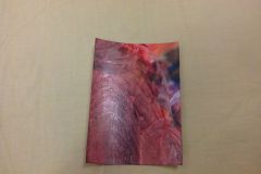 IMG_20151119_101838