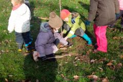 IMG_20151127_114731