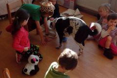 IMG_20160108_135300