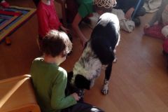 IMG_20160108_135311
