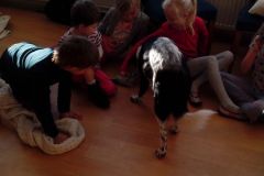 IMG_20160108_135338