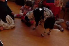 IMG_20160108_135343