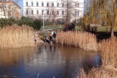 2016-03-04 Park V. Havla v Litoměřicích