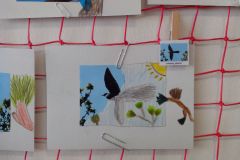 IMG_20160314_115320