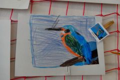 IMG_20160314_115327