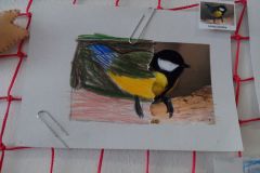 IMG_20160314_115336