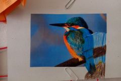 IMG_20160314_115339