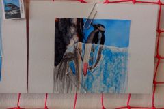 IMG_20160314_115346