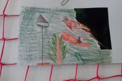 IMG_20160314_115401