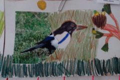 IMG_20160314_115404