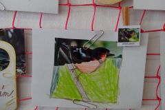 IMG_20160314_115414