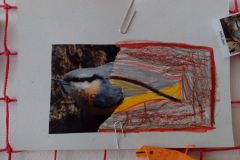 IMG_20160314_115434