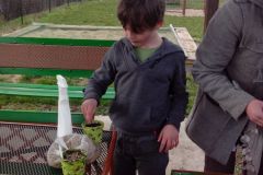 IMG_20160316_110959