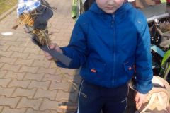 IMG_20160318_160519