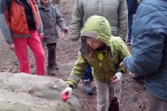 IMG_20160325_142517