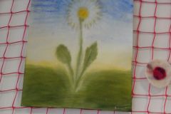 IMG_20160408_083044