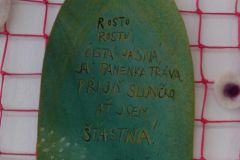 IMG_20160408_083052