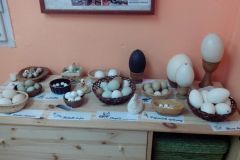 IMG_20160408_102226