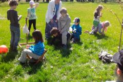 IMG_20160422_113756