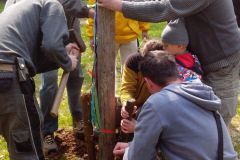 IMG_20160501_151224