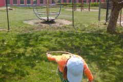 IMG_20160503_122238