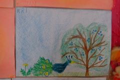 IMG_20160504_114335
