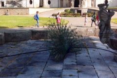 IMG_20160506_085229
