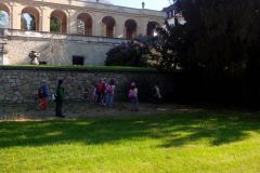 IMG_20160506_085312