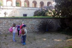 IMG_20160506_085319