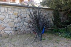 IMG_20160506_085336