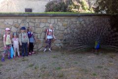 IMG_20160506_085424
