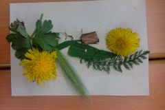 IMG_20160524_123158