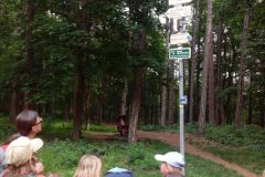 IMG_20160527_101741