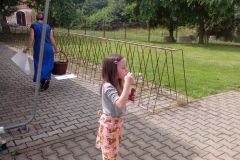IMG_20160613_110437