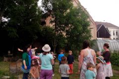 IMG_20160610_095554