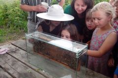 IMG_20160610_101432