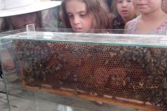 IMG_20160610_101439