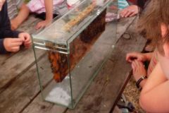 IMG_20160610_101504
