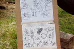 IMG_20160610_102537