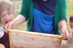 IMG_20160610_103535