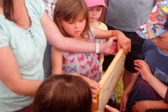 IMG_20160610_103612