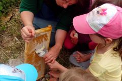 IMG_20160610_103959